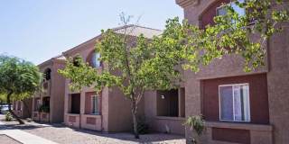 Desert Palms Gallery 9