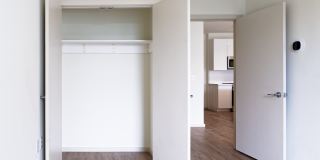 Curio 269 Gallery 10