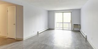 Tanglewood Village Gallery 7