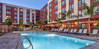 The Bernice Gallery 31