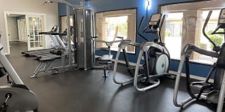 Garden Place Gallery 15