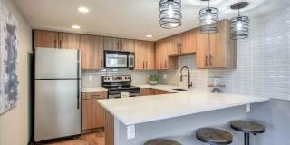 Chestnut Ridge Gallery 12