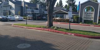 Cedar Glen Gallery 13