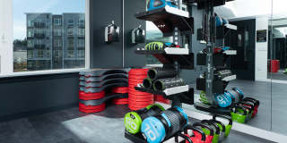 Bell Alderwood Gallery 29