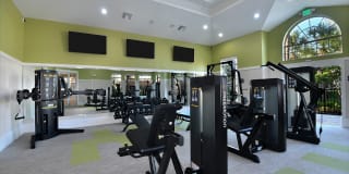 54 Magnolia Gallery 6