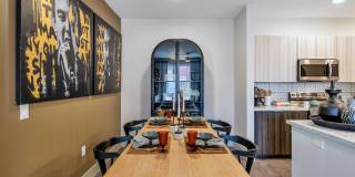 Zaterra Gallery 15