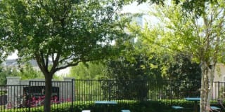Spicewood Crossing Gallery 13