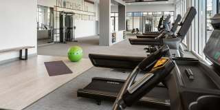 The Piedmont by Mark-Taylor Gallery 23