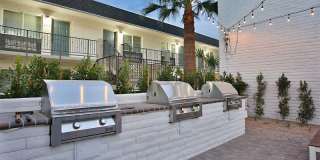 Arcadia Gardens Gallery 4