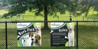 Wellington Apartments Gallery 5