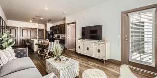 Volta at Voyager Gallery 20