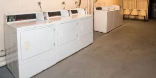 Dresden Forest Gallery 7