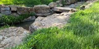 Pinnacle Woods Apartment Homes Gallery 17