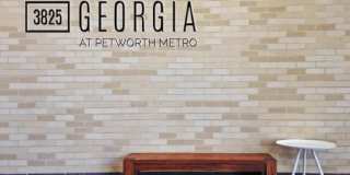 3825 Georgia Gallery 6