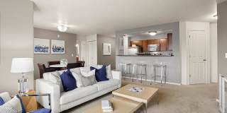 Baseline Woods Gallery 6