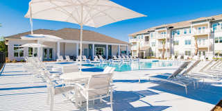 Exchange at Daphne Gallery 66