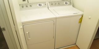 Ash Tree - Student Housing Gallery 4