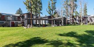 Portola Redlands Gallery 23