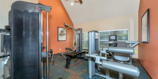 River Park Gallery 11