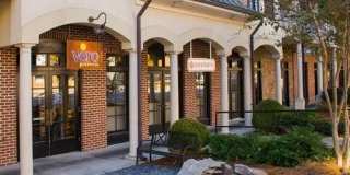 Dresden Forest Gallery 15