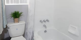 The Atrium Gallery 17