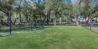 Diamond Loch Gallery 28