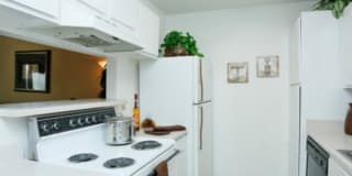 Walnut Terrace Gallery 8