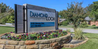 Diamond Loch Gallery 27