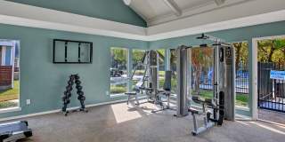 Diamond Loch Gallery 15