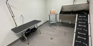 Red Oak at 409 Elm Street Gallery 20