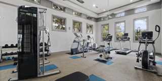 Vineyard Springs Gallery 12