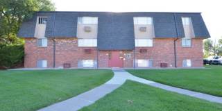 Little Armadillo Gallery 1