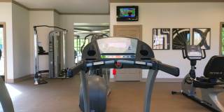 Camden Grove Gallery 8