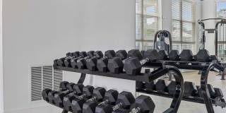 Exchange at Blair Stone Gallery 32