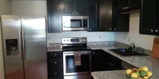 Marina Vista Gallery 1