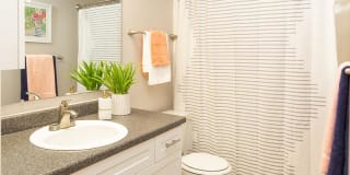 Candlestick Lane Gallery 8