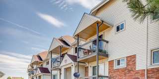 The Harrison Gallery 31