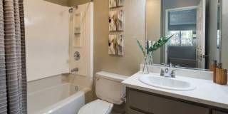 The Falls at Arden Gallery 13