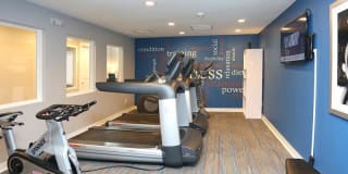 The Harrison Gallery 24