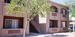 Desert Palms Gallery 3