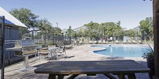 Boston Creek Gallery 5