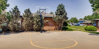 Bella Vista CO Gallery 22