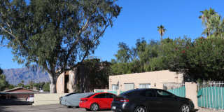 Palm Garden Gallery 16