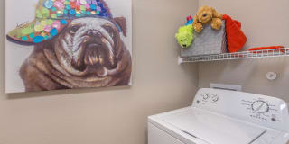 Hunters Crossing Gallery 12