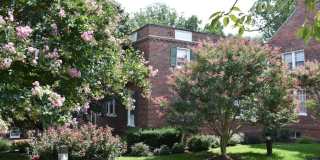 Colonial Village Apartments Gallery 20
