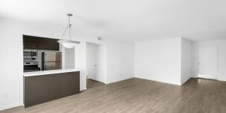 Merry Rowe Gallery 9