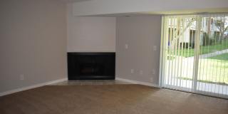 The Lake Shore Apartments Gallery 63