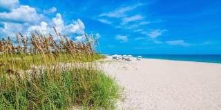 9064 Englewood Court Gallery 35