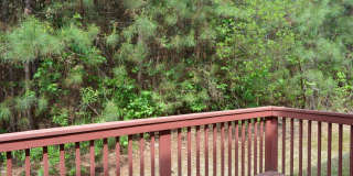 1005 Double Spring Court Gallery 32
