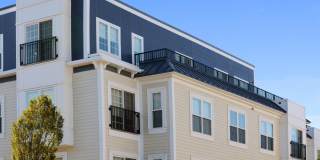 The Bradford Gallery 31